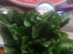-蜀辣居鲜货老火锅(双流万达店)