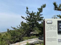 -沂蒙山旅游区龟蒙景区