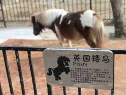 -蓝可可亲子乐园(北苑店)
