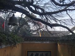 -普陀山慧济禅寺