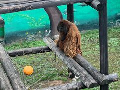 -西霞口神雕山野生动物世界
