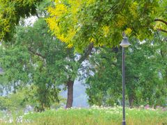 -玄武湖景区-情侣园游乐场