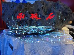 -海合安青岛极地海洋公园