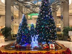 -成都世纪城假日酒店-西楼