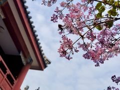 -报国寺