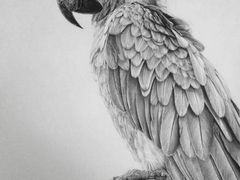 -信马画室 成人零基础到个人创作画室(亚运村店)