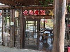 -南汇水蜜桃采摘(大团店)