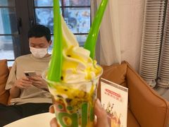 -Salud撒露欧洲冻酸奶(798艺术区店)