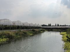 -马陆小张葡萄园农家乐