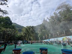 -西双版纳原始森林公园