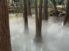 -东湖落雁景区