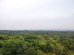 -南京老山国家森林公园