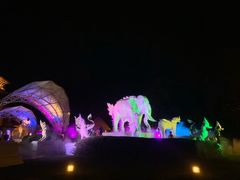 -清迈夜间动物园