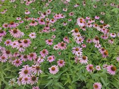 -沈阳森林动物园