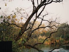 -木守西溪溪隐餐厅