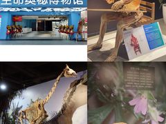 -生命奥秘博物馆