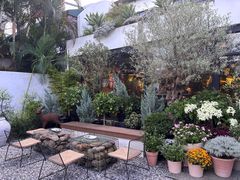 -自由生长植物工作室(深港花卉中心店)