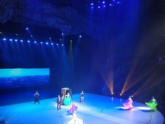 -重庆国际马戏城