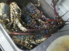 -顺德了能馆(虎门店)