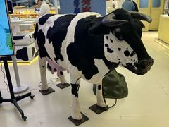 -红星前进面包牛奶公司(君太店)