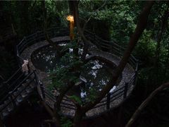 -天门沟九州驿站树上汤泉
