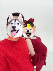 -十孕纪高端孕妇亲子摄影