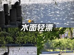 -迎泽公园