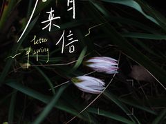-尚贤河湿地