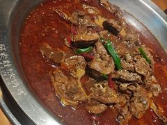 -成老灶火锅鸡(平山店)