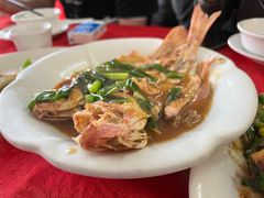-蛇口康乐快餐鱼仔档(翠苑小区店)