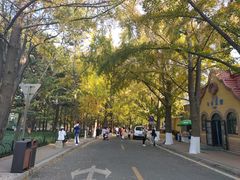 -八大关景区
