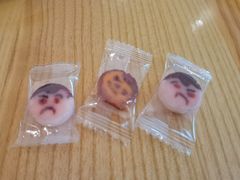 -WHEN PIGS FLY当猪飞