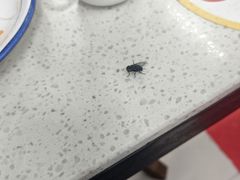 -重庆何乌鱼(南湖逸家店)