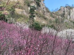 -温州永嘉书院