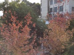 iphone_upload_pic-乌山风景区