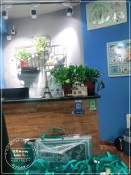 -哈尼Honey baby 儿童摄影(立丰国际公寓店)