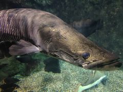 -太平洋海底世界