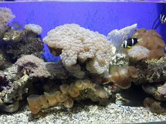 android_upload_pic-南昌海洋公园