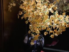 -觀芷隐轩