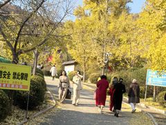 -遵化市禅林寺古银杏风景园