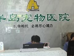 -半岛宠物医院24小时(科华中路店)