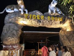 -清迈夜间动物园