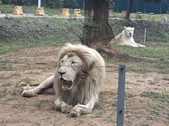 -秦皇岛野生动物园