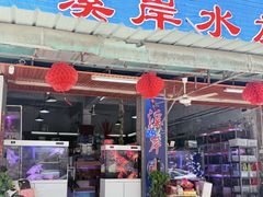 -溪岸路花鸟市场