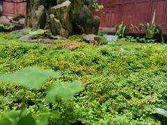 -成都杜甫草堂博物馆