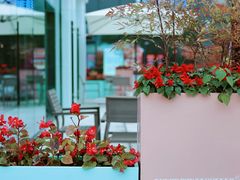 -sugarman espresso素饮糖人高新咖啡工厂