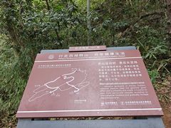 -九曜山