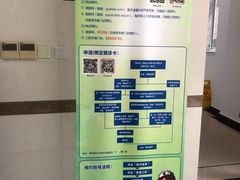 -同济大学附属口腔医院
