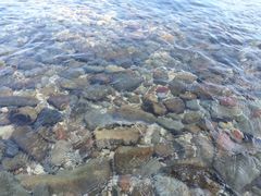 iphone_upload_pic-东姑阿都拉曼海洋公园