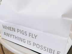 -WHEN PIGS FLY当猪飞